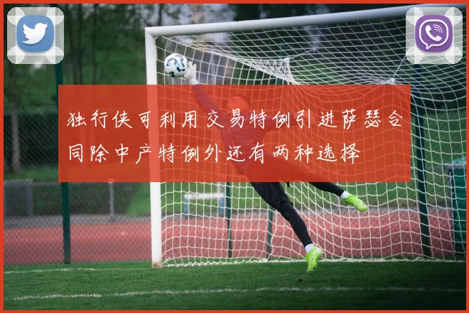独行侠可利用交易特例引进萨瑟合同除中产特例外还有两种选择
