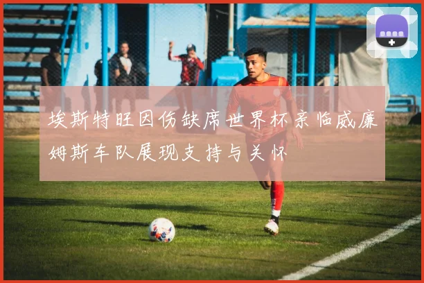 埃斯特旺因伤缺席世界杯亲临威廉姆斯车队展现支持与关怀