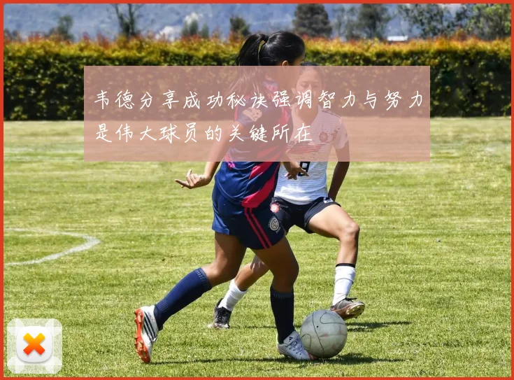 韦德分享成功秘诀强调智力与努力是伟大球员的关键所在