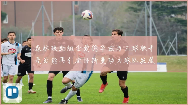 森林狼新组合爱德华兹与三球联手是否能再引进怀斯曼助力球队发展
