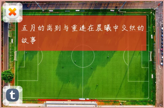 五月的离别与重逢在晨曦中交织的故事